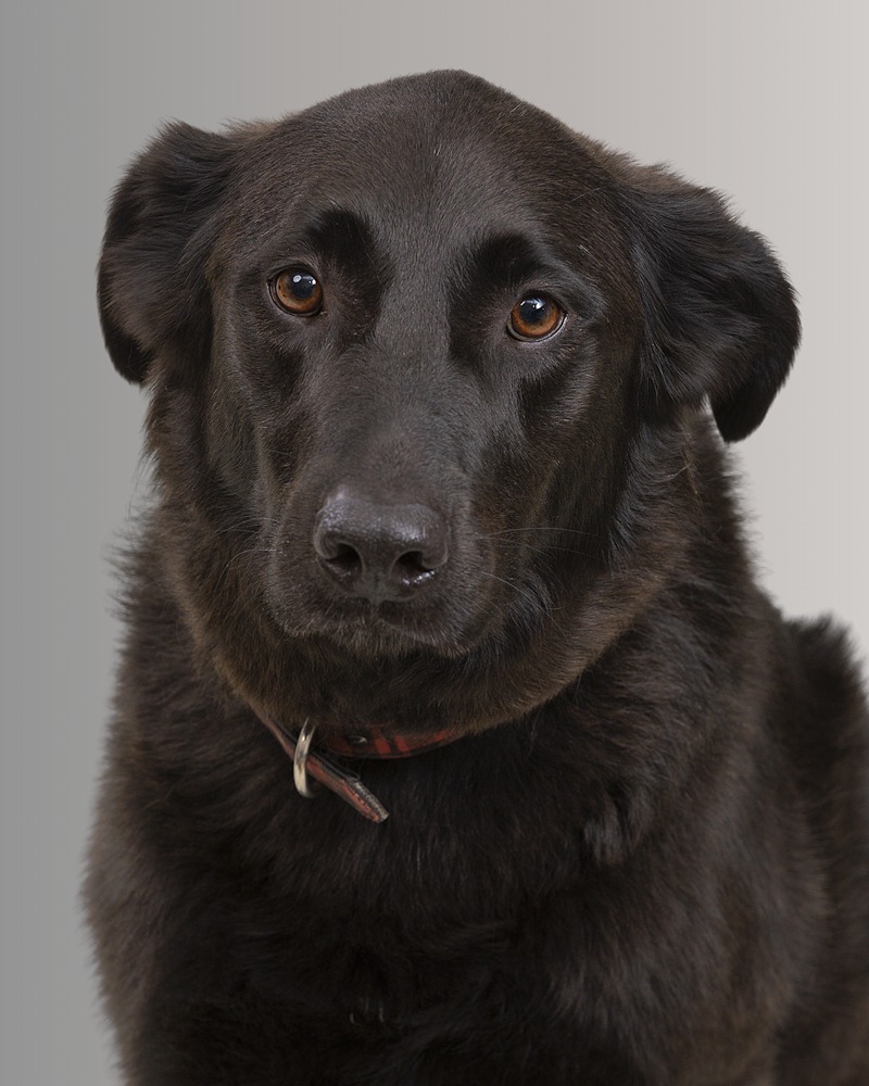 Charlie